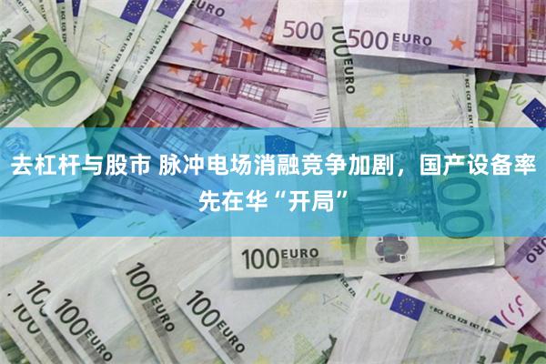 去杠杆与股市 脉冲电场消融竞争加剧，国产设备率先在华“开局”