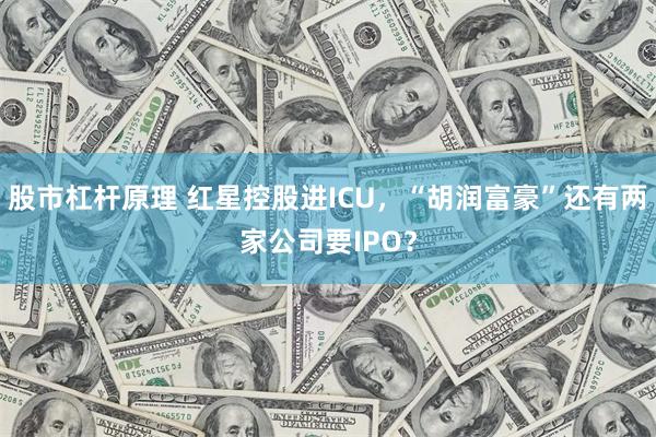 股市杠杆原理 红星控股进ICU，“胡润富豪”还有两家公司要IPO？