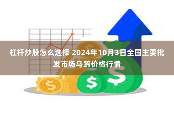 杠杆炒股怎么选择 2024年10月3日全国主要批发市场马蹄价格行情