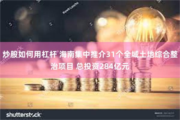 炒股如何用杠杆 海南集中推介31个全域土地综合整治项目 总投资284亿元