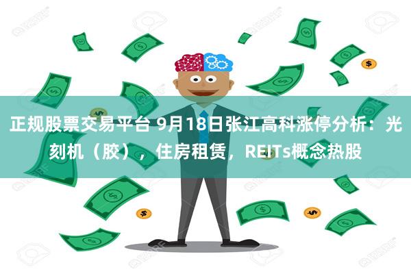 正规股票交易平台 9月18日张江高科涨停分析：光刻机（胶），住房租赁，REITs概念热股