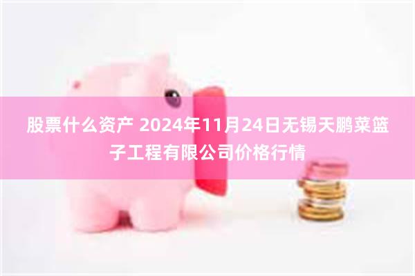 股票什么资产 2024年11月24日无锡天鹏菜篮子工程有限公司价格行情